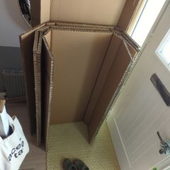Loads of Cardboard