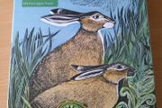 BNIB 500 piece Angela Harding hare puzzle