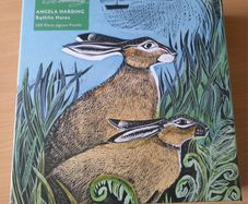 BNIB 500 piece Angela Harding hare puzzle