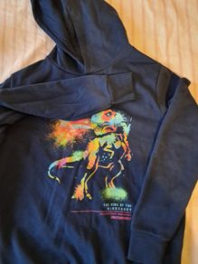 Boy's Dinosaur Hoody