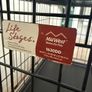 Dog Training Crate Image 4