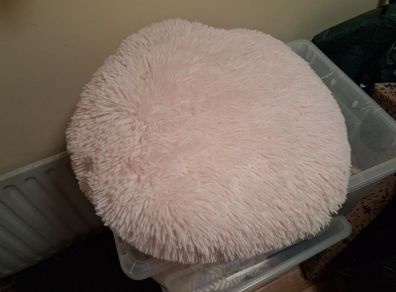 Pink cushion