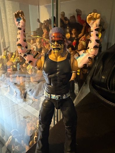 wwe elite custom Jeff hardy