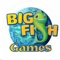 Big Fish Games Jobs in Ireland