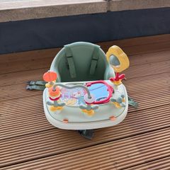 Mamas & Papas Baby Bug and Activity Tray Eucalyptus