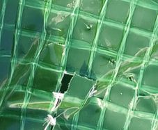 Tarpaulin