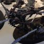 Warhammer Image 5