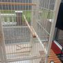 large mobile bird cage Image 5