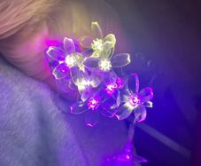 led