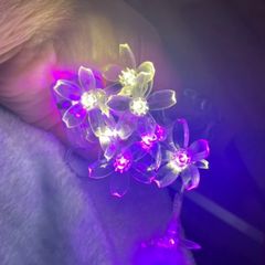 led
