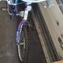 bike Image 2