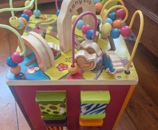 Zany zoo activity cube