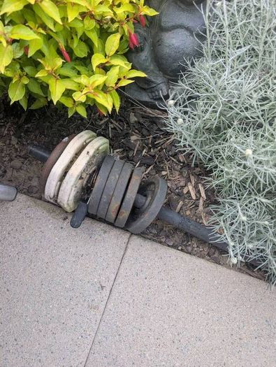 Weight Bench & Weights