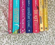 David Walliams Book Bundle