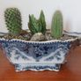 Fabulous Antique Tureen with Cacti Garden - A Fabulous Unique and Decorative Item for Display Indoors Image 8