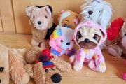 11 cute pups &amp; dogs