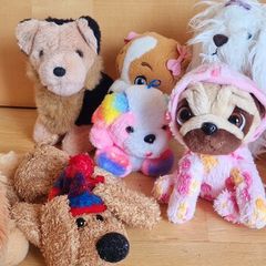 11 cute pups & dogs