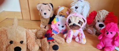 11 cute pups & dogs