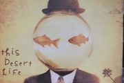 Counting Crows - This Desert Life.