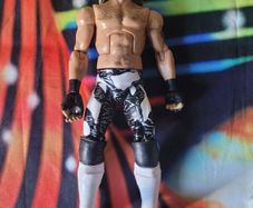 WWE WWF Elite Wrestling Figures