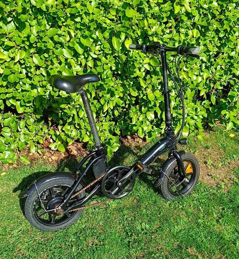 Fiido D3 Electric bike