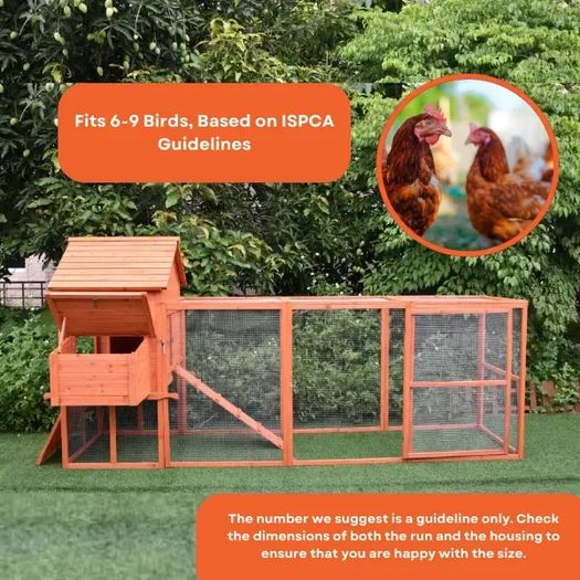 Large Chicken Coop 6-9 Birds Natural Wood