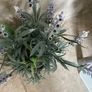 Artificial Lavender Plant Image 4
