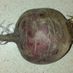 beetroot
