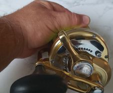 Shimano Torsa 30 WMS White Marlin Special