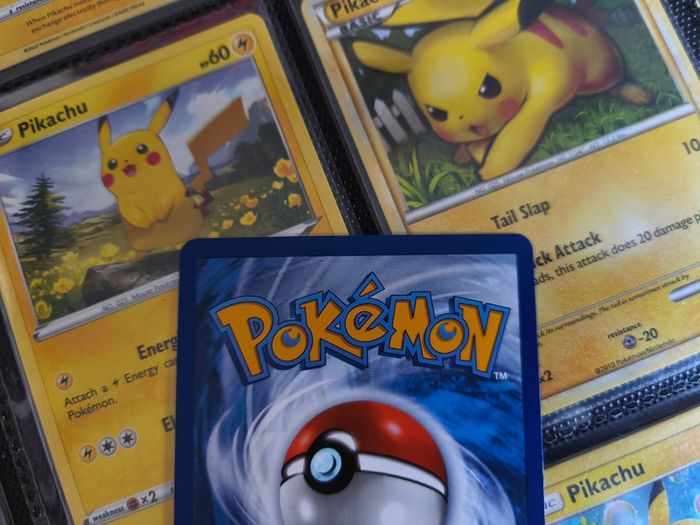 Dachsbun ! Shiny Rare ! from Paldean Fates Set ! 2024 ! Pokemon Card !
