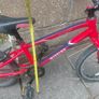 bike (kids) Image 6