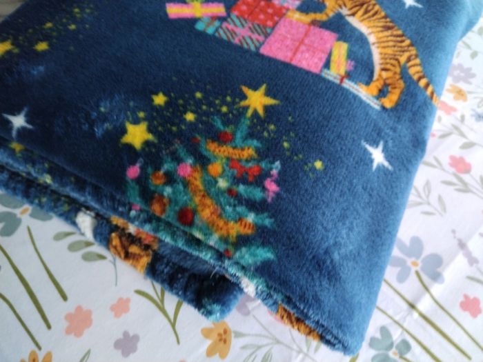 Catherine Lansfield Christmas Winter Fleece Throws