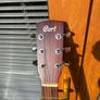 Cort acustic guitar Image 5