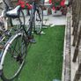 womens bike Image 2