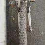 26inch bike Image 3