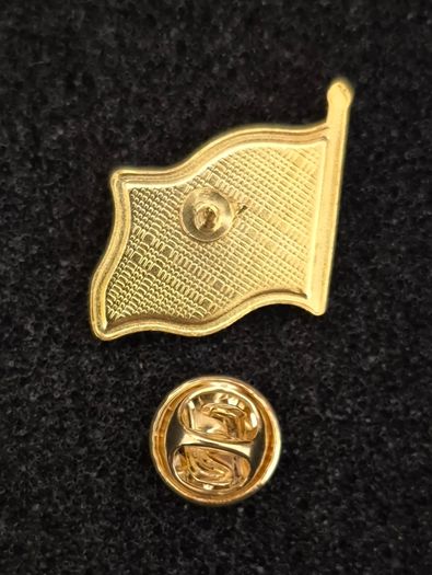 Irish tricolour flag,  pin back badge.