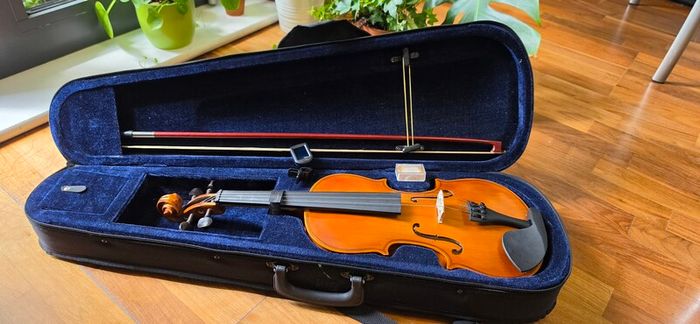 Violin