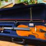Violin Image 2
