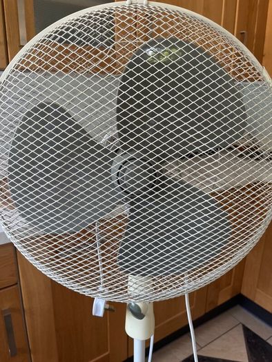 16 Pedestal Fan