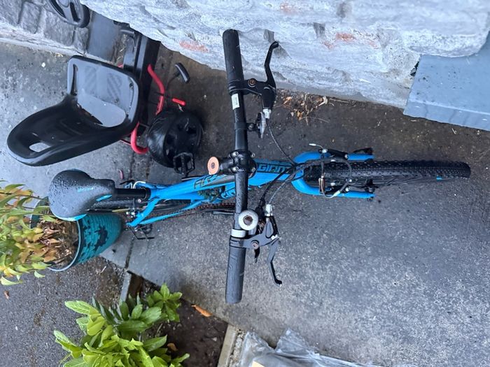 Giant Kids Bike age 5-8/9 years