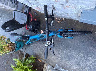Giant Kids Bike age 5-8/9 years
