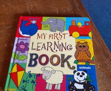 Large Board Book My First Learning Book