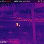 Thermal Monocular Hikmicro Lynx Pro Lh 15 Image 3