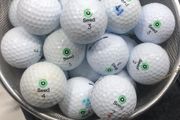 Basket of seed golf balls