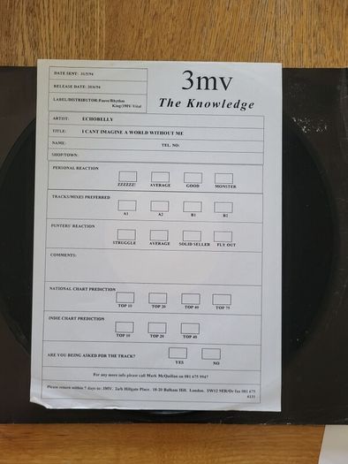 Echobelly I Cant Imagine A World Without Me 12 inch vinyl promo