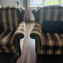 Suite of Furniture Image 3