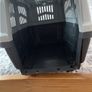 cat Image 5