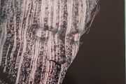 Fergal Sharkey - V2360 Vinyl 'Mint'