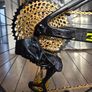Scott Spark 900 World Cup - Top-Spec XC race bike with spare front triangle Image 2