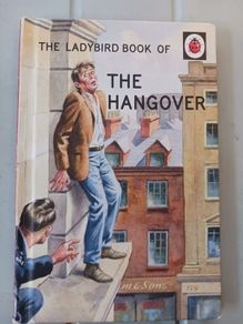 The Ladybook of The Hangover